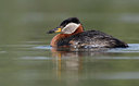 BUITEN BEELD Foto: 351916
