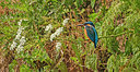BUITEN BEELD Foto: 351940
