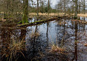 BUITEN BEELD Foto: 352059