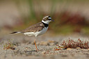 BUITEN BEELD Foto: 352088