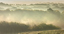 BUITEN BEELD Foto: 352148