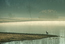 BUITEN BEELD Foto: 352183