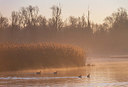 BUITEN BEELD Foto: 352319