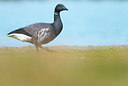 BUITEN BEELD Foto: 352479