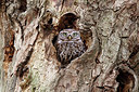 BUITEN BEELD Foto: 352787