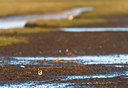 BUITEN BEELD Foto: 352991