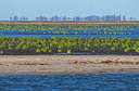 BUITEN BEELD Foto: 353004
