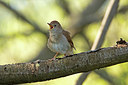 BUITEN BEELD Foto: 353028