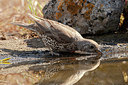 BUITEN BEELD Foto: 353042