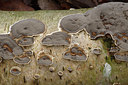 BUITEN BEELD Foto: 353089