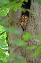 BUITEN BEELD Foto: 353179