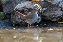BUITEN BEELD Foto: 353182