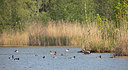 BUITEN BEELD Foto: 353306