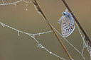 BUITEN BEELD Foto: 353329