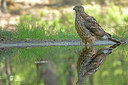 BUITEN BEELD Foto: 353340