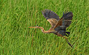 BUITEN BEELD Foto: 353346