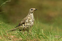 BUITEN BEELD Foto: 353373