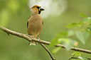 BUITEN BEELD Foto: 353375