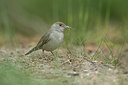 BUITEN BEELD Foto: 353382