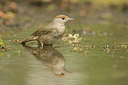 BUITEN BEELD Foto: 353398
