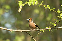 BUITEN BEELD Foto: 353412