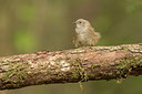 BUITEN BEELD Foto: 353416