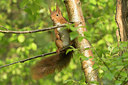 BUITEN BEELD Foto: 353467