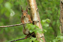 BUITEN BEELD Foto: 353469