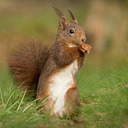 BUITEN BEELD Foto: 353474