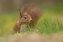 BUITEN BEELD Foto: 353476