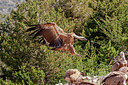 BUITEN BEELD Foto: 353523