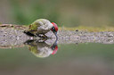 BUITEN BEELD Foto: 353565