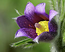 BUITEN BEELD Foto: 353579