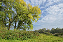 BUITEN BEELD Foto: 353595