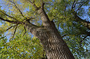 BUITEN BEELD Foto: 353596