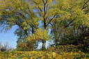 BUITEN BEELD Foto: 353597