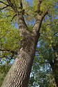 BUITEN BEELD Foto: 353630