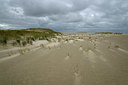BUITEN BEELD Foto: 353640