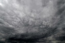 BUITEN BEELD Foto: 353649