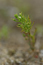 BUITEN BEELD Foto: 353717