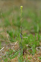 BUITEN BEELD Foto: 353725