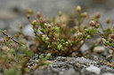 BUITEN BEELD Foto: 353726