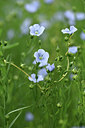 BUITEN BEELD Foto: 353771