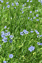 BUITEN BEELD Foto: 353778