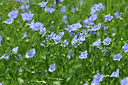 BUITEN BEELD Foto: 353779