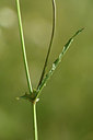 BUITEN BEELD Foto: 353785