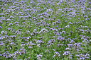 BUITEN BEELD Foto: 353786