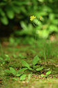 BUITEN BEELD Foto: 353846