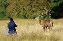 BUITEN BEELD Foto: 353885