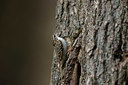 BUITEN BEELD Foto: 353981